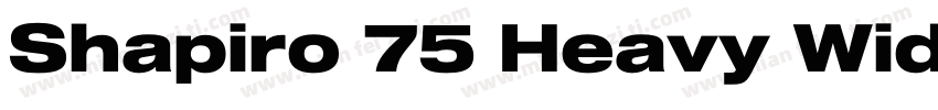 Shapiro 75 Heavy Wide字体转换